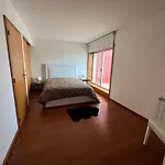 Apartment Vela Marina, Costa Nova